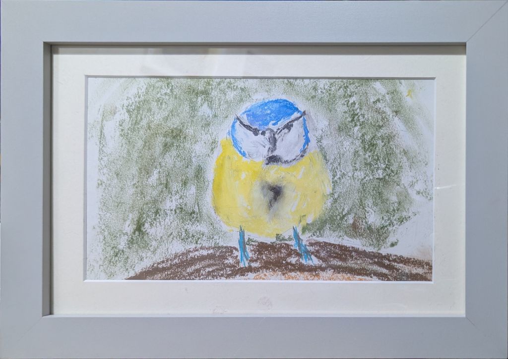 Blue tit